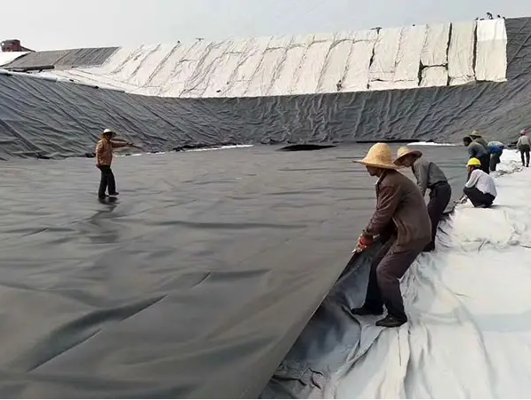 Διάρκεια Απαιτήσεις του πελάτη HDPE γεωμεμβράνη Ανερόστερη για ιχθυοκαλλιέργεια 6